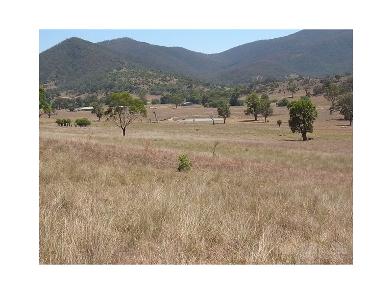 578 Sandy Creek Road, Muswellbrook NSW 2333