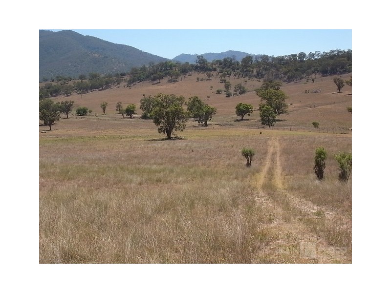 578 Sandy Creek Road, Muswellbrook NSW 2333