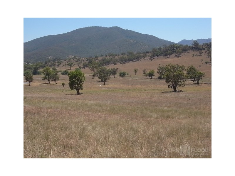 578 Sandy Creek Road, Muswellbrook NSW 2333