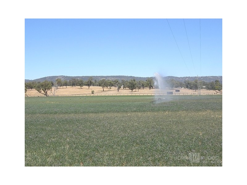 Dalmore Nandowra Road, Scone NSW 2337