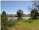 Dalmore Nandowra Road, Scone NSW 2337