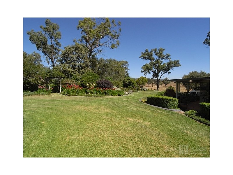 Dalmore Nandowra Road, Scone NSW 2337