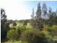35 Weemala Place, Muswellbrook NSW 2333