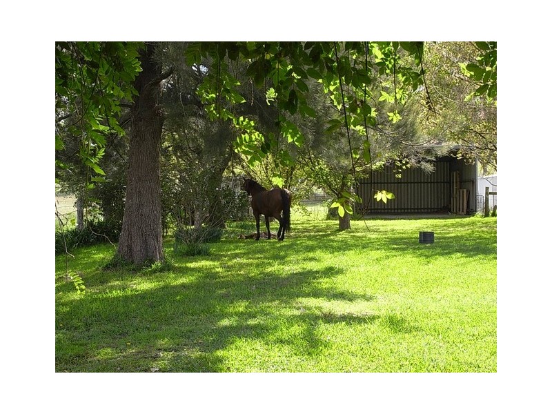 575 Muscle Creek Road, Muscle Creek NSW 2333