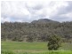 6164 Bylong Road, Rylstone NSW 2849
