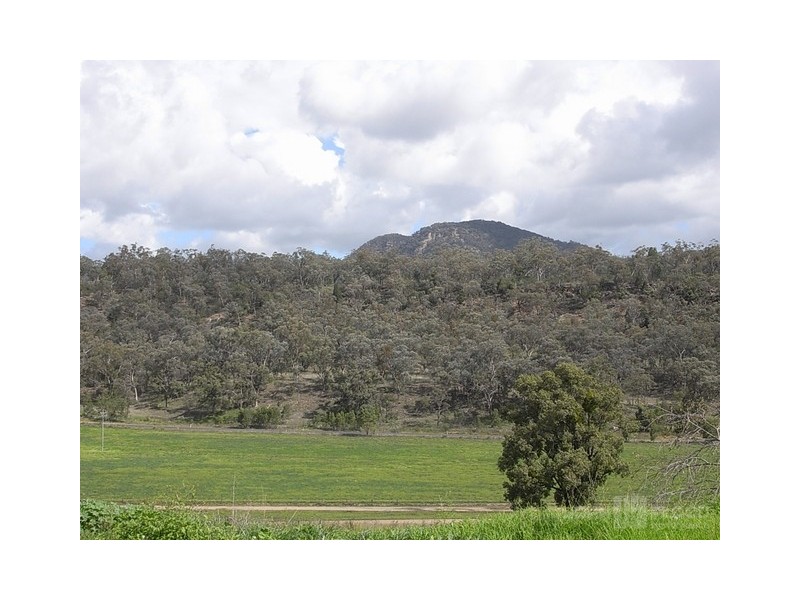 6164 Bylong Road, Rylstone NSW 2849