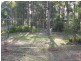 Muswellbrook NSW 2333