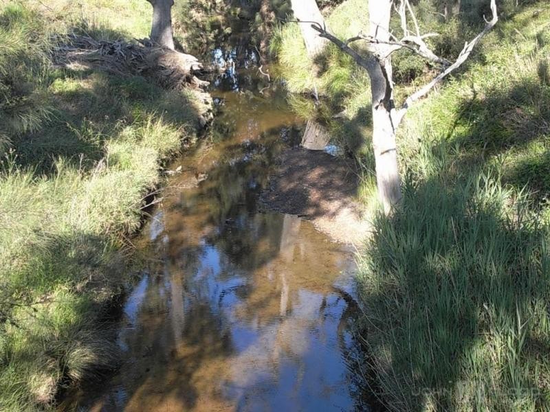 575 Muscle Creek Road, Muscle Creek NSW 2333