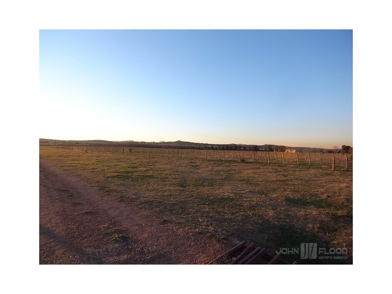 1461 Denman Road, Muswellbrook NSW 2333