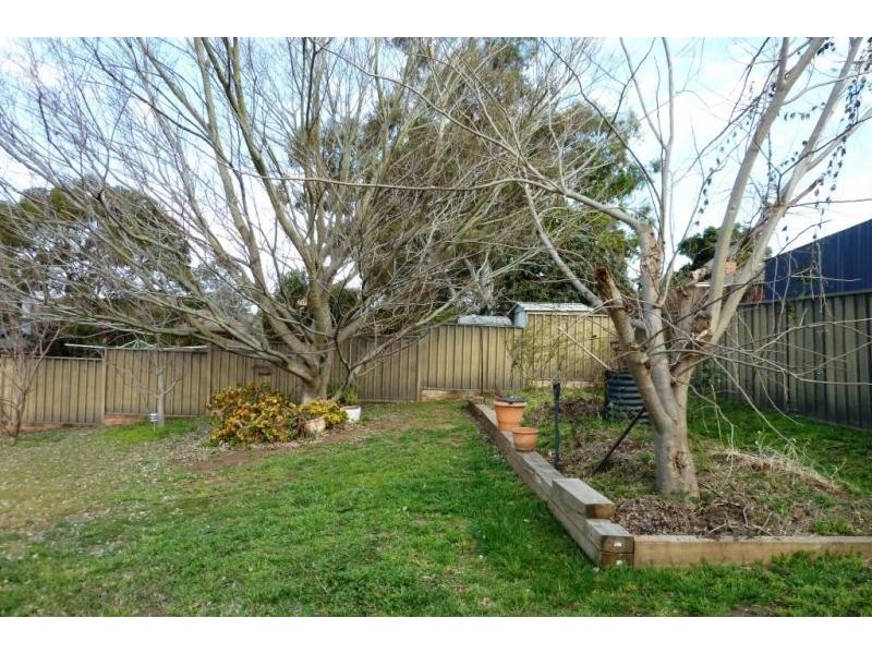 8 Towarri Street, Muswellbrook NSW 2333