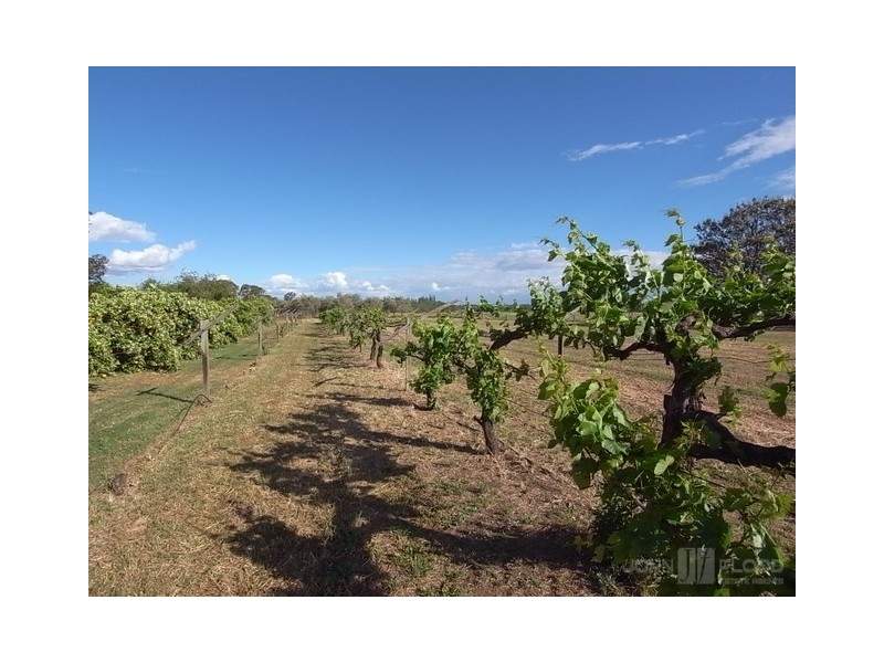 311-313 Wybong Road, Muswellbrook NSW 2333