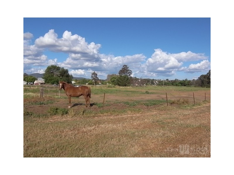 311-313 Wybong Road, Muswellbrook NSW 2333