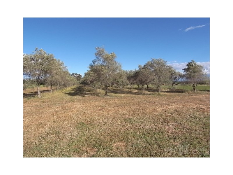 311-313 Wybong Road, Muswellbrook NSW 2333