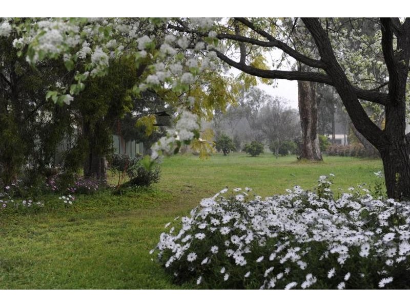 28 Satur Rd, Scone NSW 2337