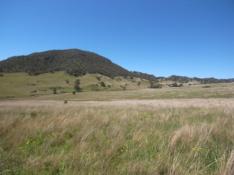 1300 Sandy Creek Road, Mccullys Gap NSW 2333