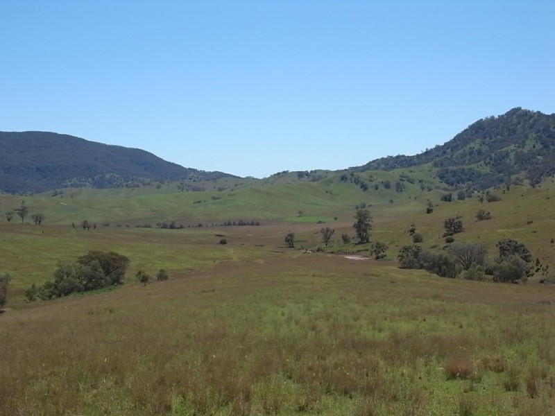 1300 Sandy Creek Road, Mccullys Gap NSW 2333