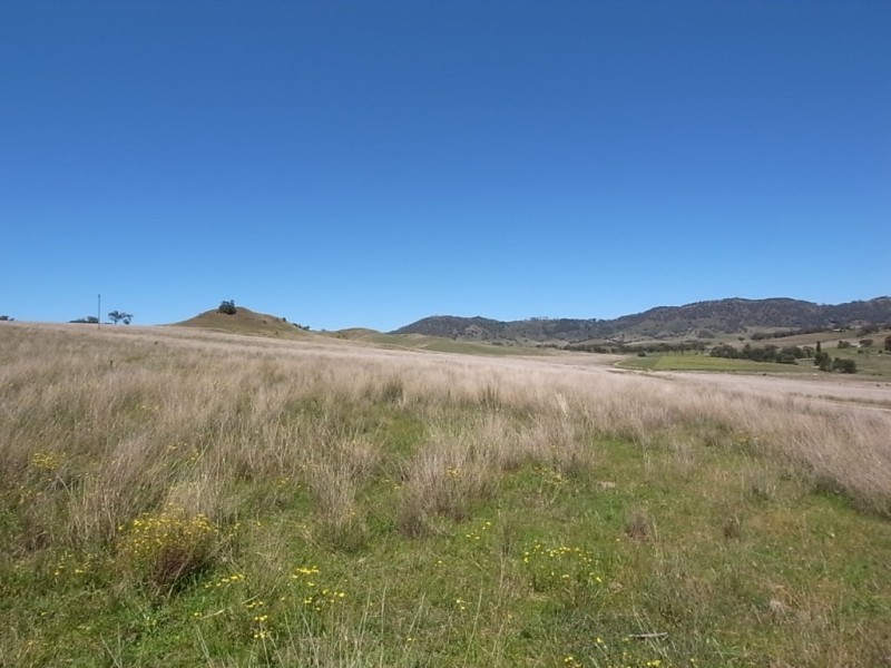 1300 Sandy Creek Road, Mccullys Gap NSW 2333