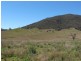 1305 Sandy Creek Road, Mccullys Gap NSW 2333