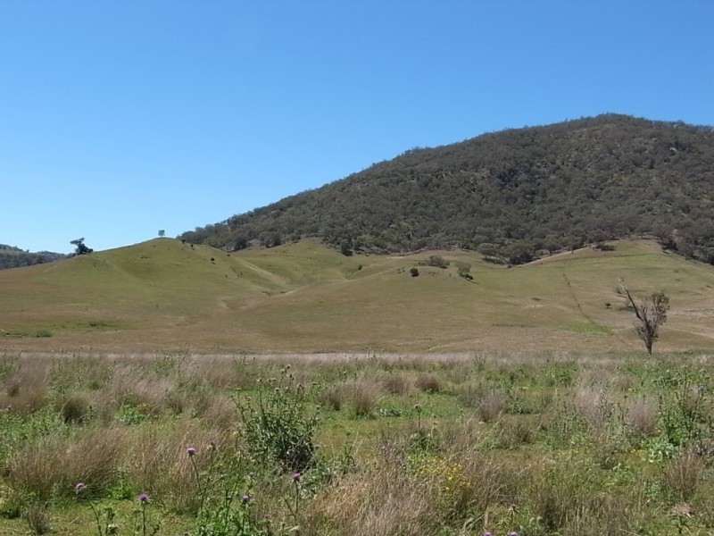 1305 Sandy Creek Road, Mccullys Gap NSW 2333