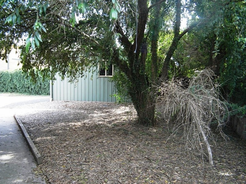 78 Park St, Scone NSW 2337