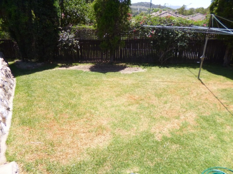 8 Cedar Close, Muswellbrook NSW 2333