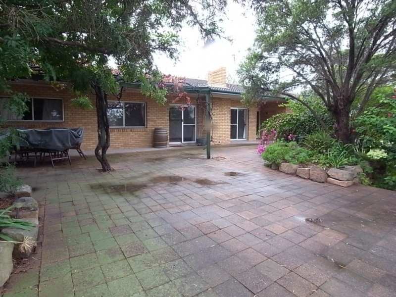 136 Skellatar SR, Muswellbrook NSW 2333