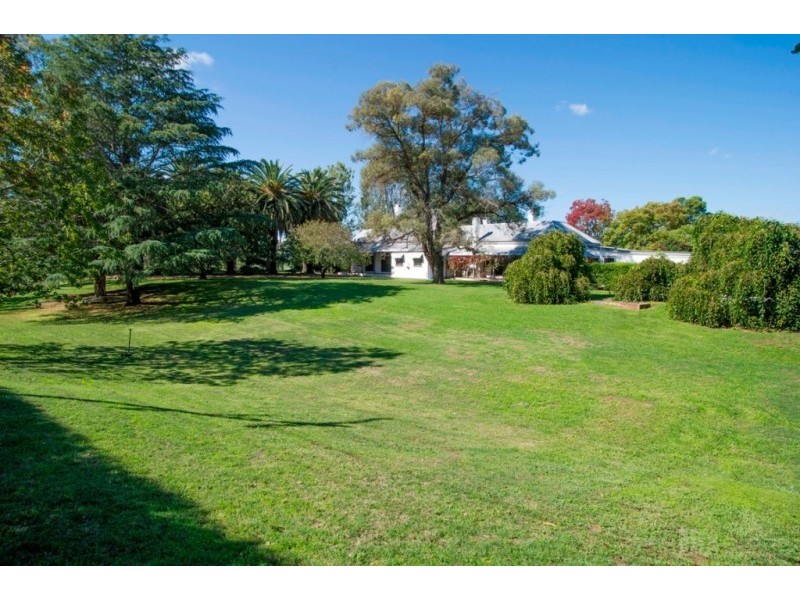 242 Segenhoe Road, Scone NSW 2337