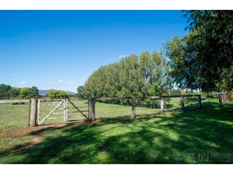 242 Segenhoe Road, Scone NSW 2337