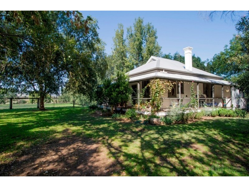 242 Segenhoe Road, Scone NSW 2337