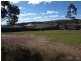 29 Bimbadeen Drive, Muswellbrook NSW 2333