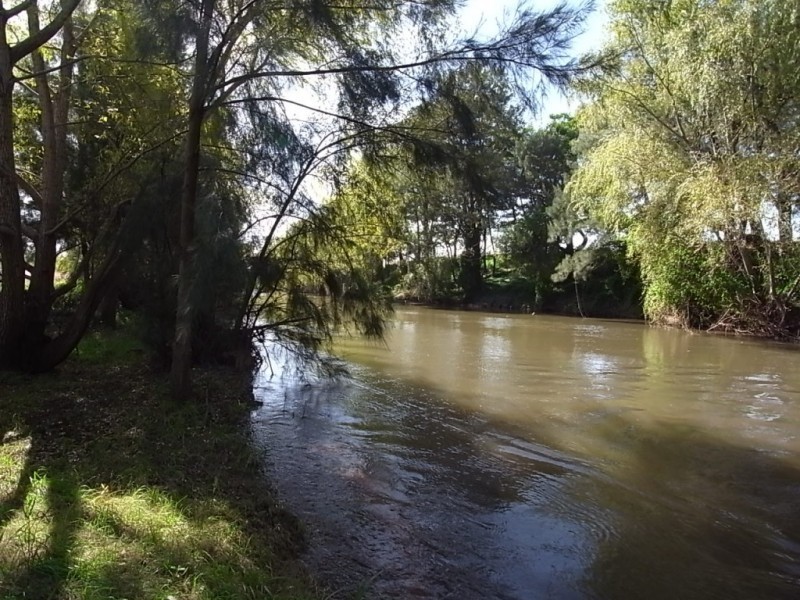 109 Martindale Road, Denman NSW 2328