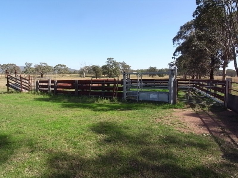 109 Martindale Road, Denman NSW 2328