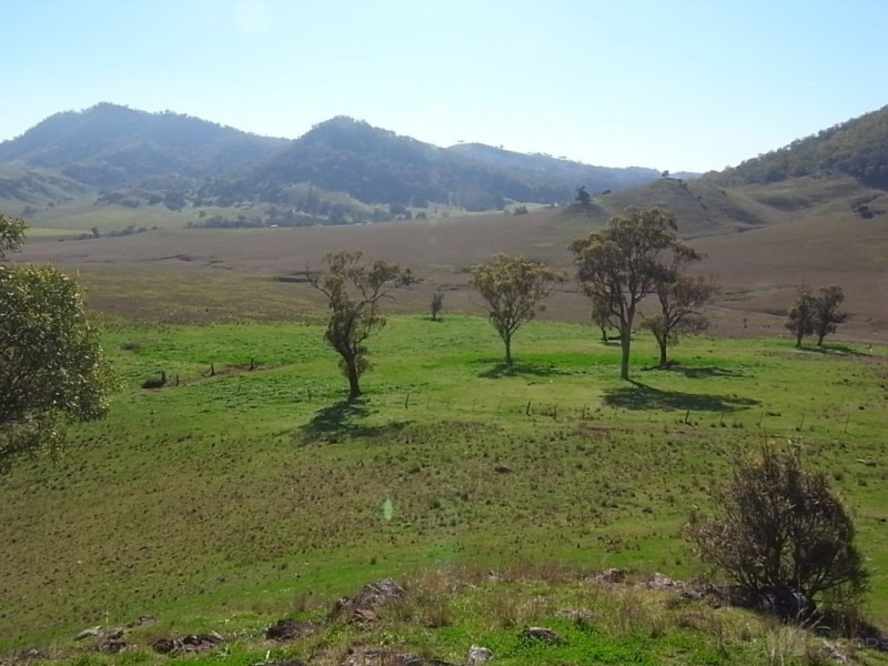 Lot 223,  Sandy Creek Road, Mccullys Gap NSW 2333