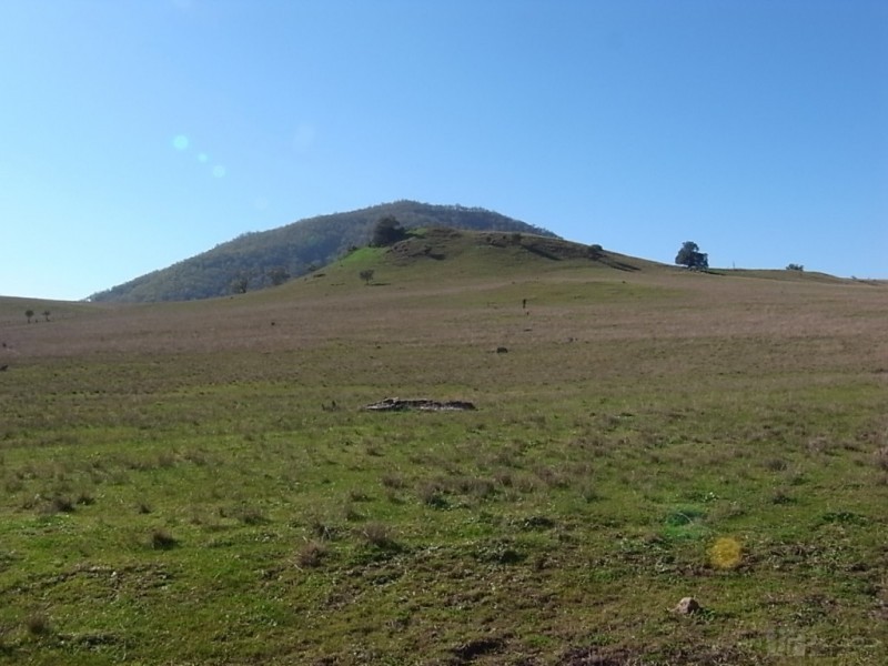 Lot 223,  Sandy Creek Road, Mccullys Gap NSW 2333