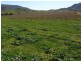 Lot 13,  Sandy Creek Road, Mccullys Gap NSW 2333