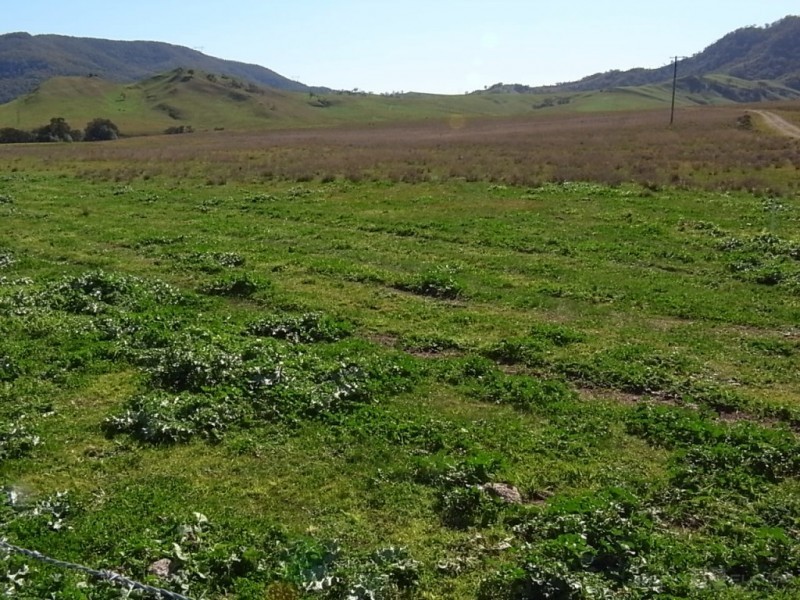 Lot 13,  Sandy Creek Road, Mccullys Gap NSW 2333