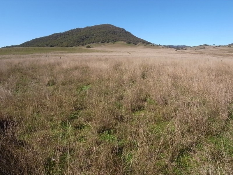 Lot 13,  Sandy Creek Road, Mccullys Gap NSW 2333