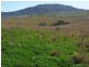 Lot 13,  Sandy Creek Road, Mccullys Gap NSW 2333