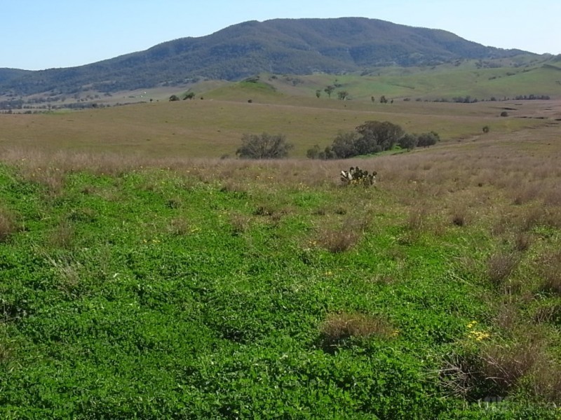 Lot 13,  Sandy Creek Road, Mccullys Gap NSW 2333