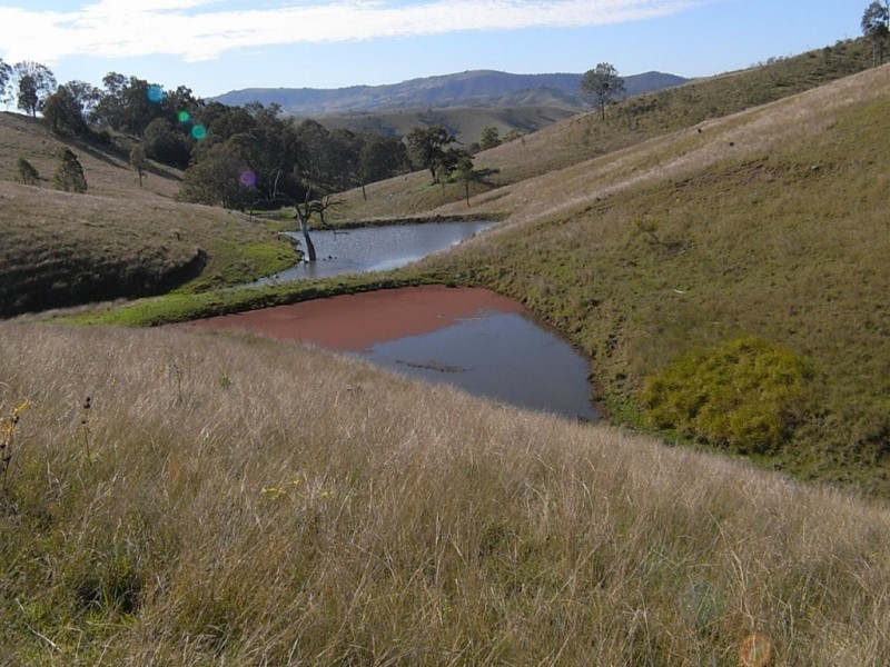 553 Falbrook Road, Greenlands NSW 2330