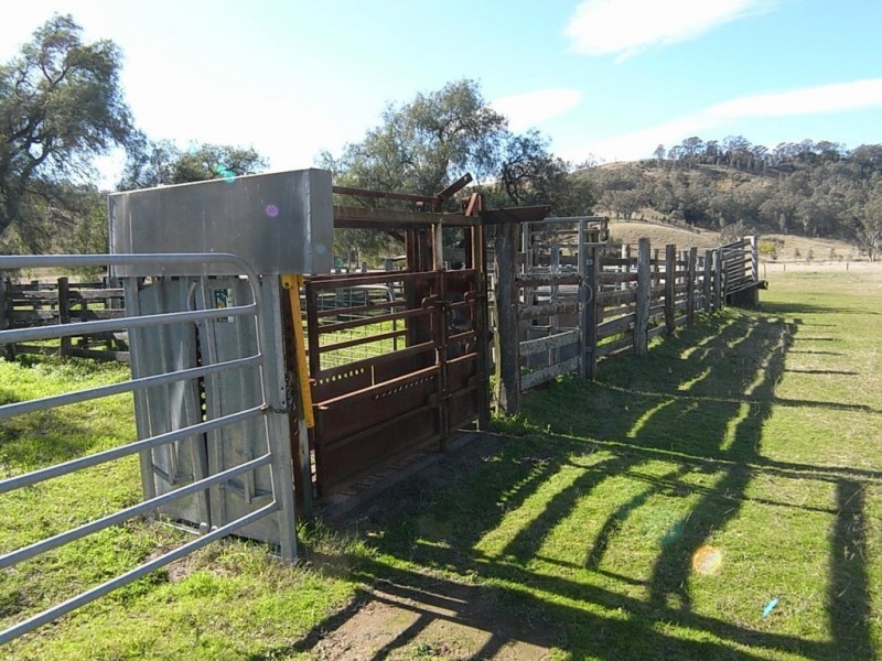 553 Falbrook Road, Greenlands NSW 2330