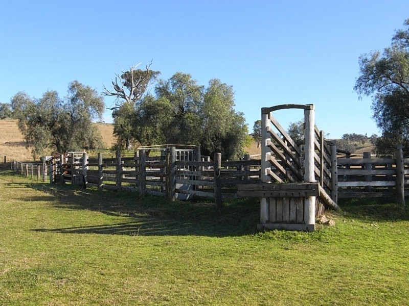 553 Falbrook Road, Greenlands NSW 2330