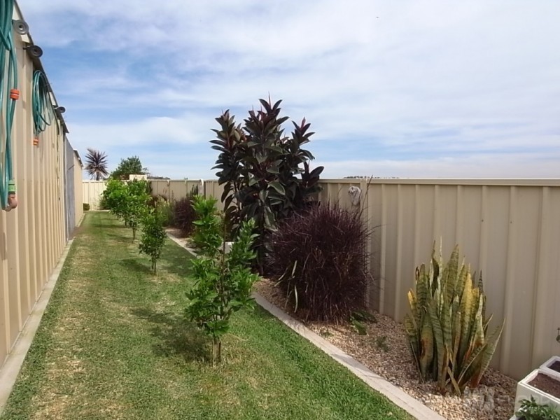 139 Graeme Street, Aberdeen NSW 2336