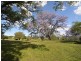 280 Moobi Road, Scone NSW 2337