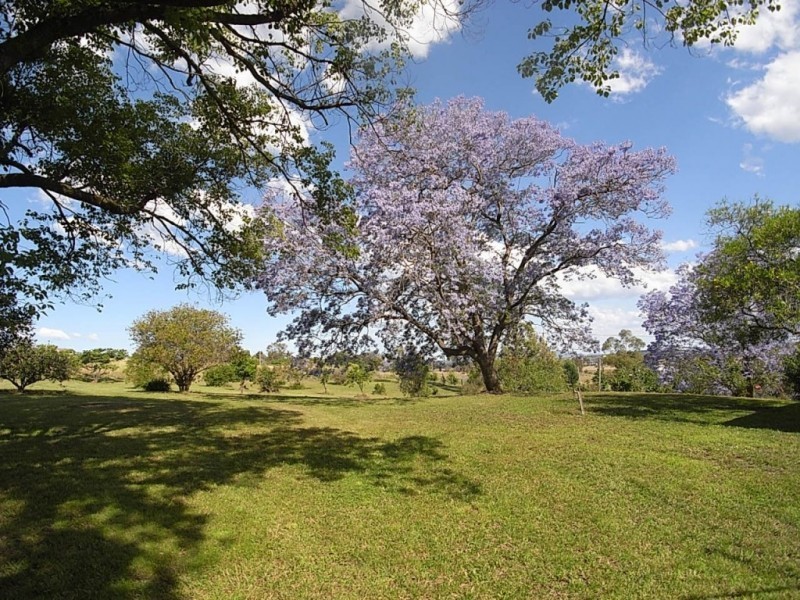 280 Moobi Road, Scone NSW 2337