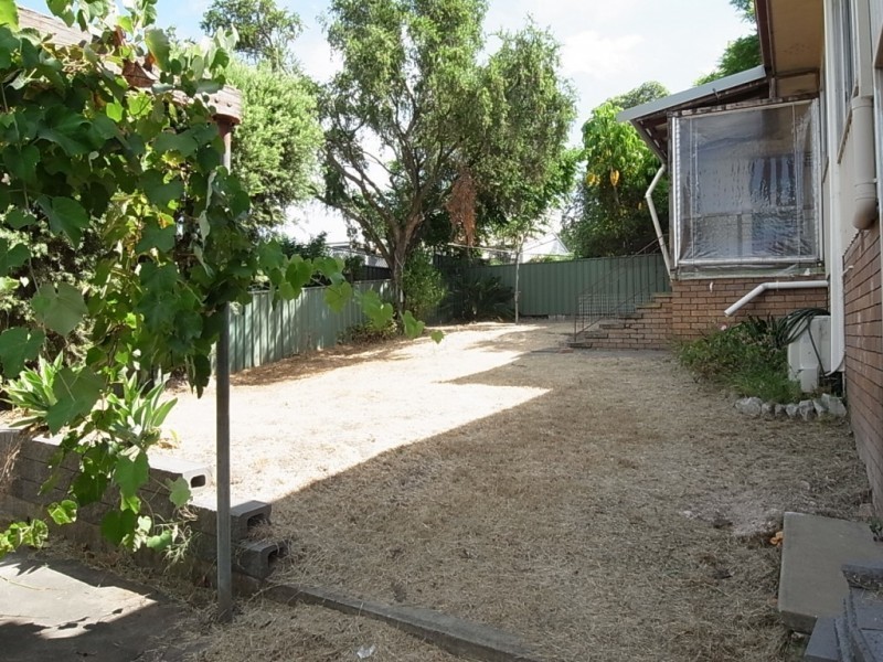 10 Thompson Street, Muswellbrook NSW 2333