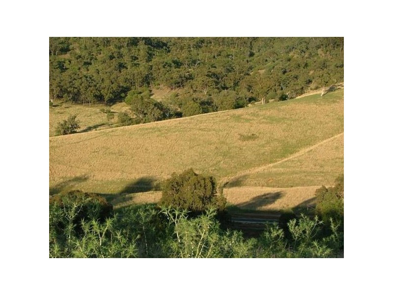 Sandy Creek Road, Mccullys Gap NSW 2333