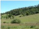 Sandy Creek Rd, Mccullys Gap NSW 2333