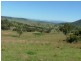 Sandy Creek Rd, Mccullys Gap NSW 2333