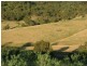 Sandy Creek Rd, Mccullys Gap NSW 2333
